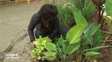 D Couverte Les Plantes Seconde Main Silence A Pousse Youtube