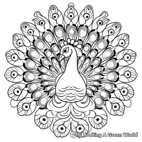 Peacock Mandala Coloring Pages - Free & Printable!