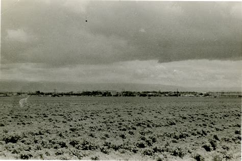 Landscape scene of a field, possibly in Bakersfield, California during World War II. | The ...