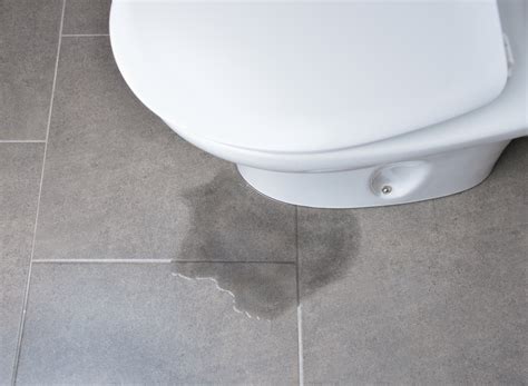 Leaking Toilet Tank? Here's How to Fix It