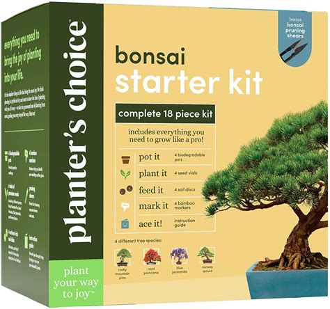 Bonsai starter kit with 4 types of seeds for $25 - Clark Deals