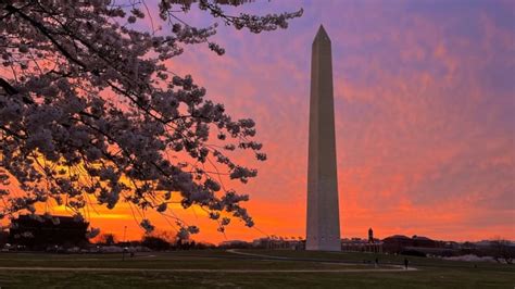 O Melhor Guia De Viagem De Washington Dc Hellotickets