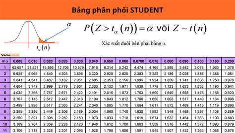 B Ng Ph N Ph I Student C Ch Tra V C C B I T P Ng D Ng