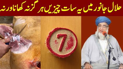 Halal Janwar Ki Chizein Khana Haram Hain Haram Cheezain Mufti