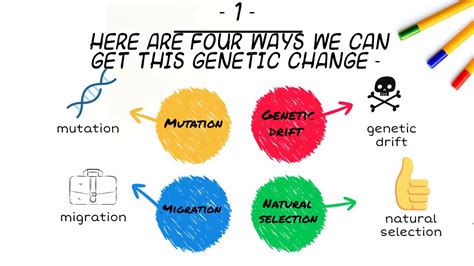 Mechanisms Of Genetic Change Or Evolution Youtube