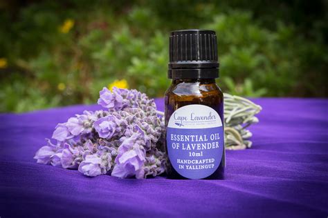 Lavender Essential Oil 10ml