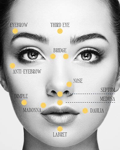 Types Of Facial Piercings Chart