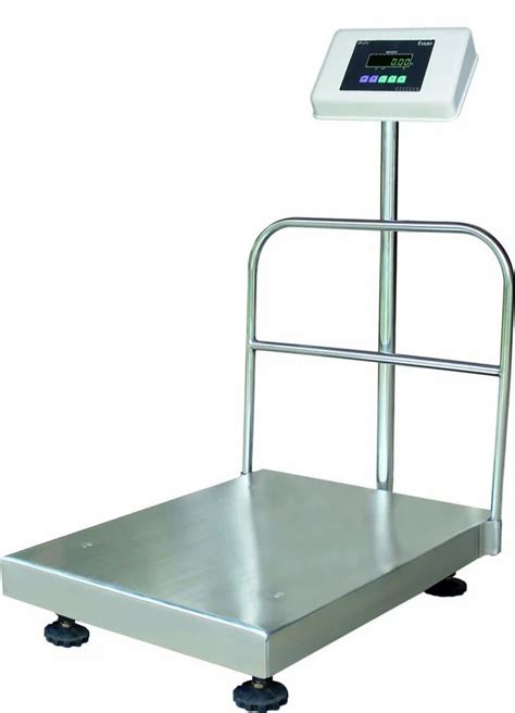 Stainless Steel Essae Ds Platform Type Weighing Scale Size