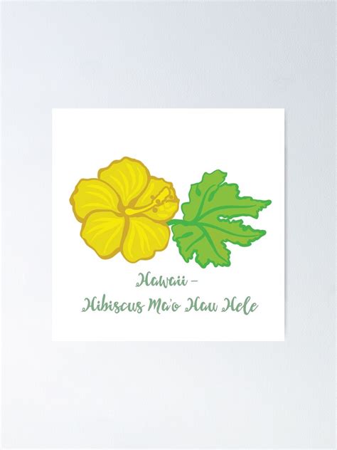 Hawaii State Flower Hibiscus Ma O Hau Hele Poster For Sale By