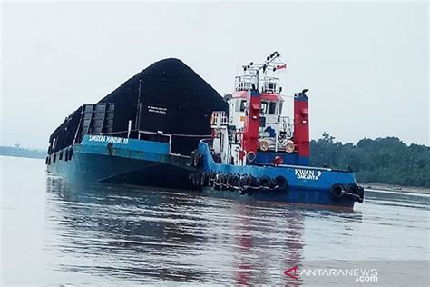 Hulu Sungai Barito Surut Tongkang Bermuatan Batu Bara Kandas ANTARA News