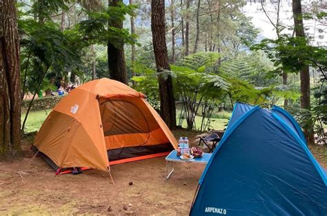 Wisata Highland Camp Bogor Tawarkan Sensasi Menyatu Dengan Alam Bikin