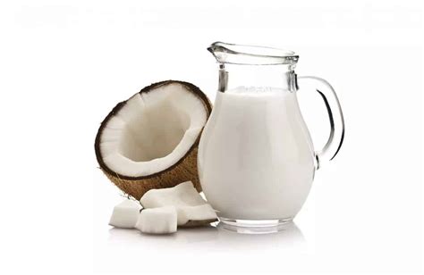 Leche de coco qué es beneficios usos y propiedades