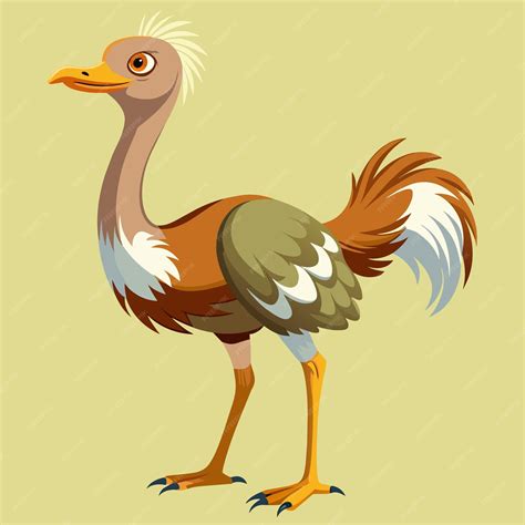 Premium Vector Ostrich Vector Illustration