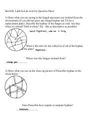 Lab8 InLab Question Sheet Pdf Bio182L Lab8 In Lab Activity Question