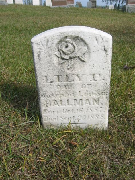 Lily P Hallman 1887 1888 Mémorial Find A Grave