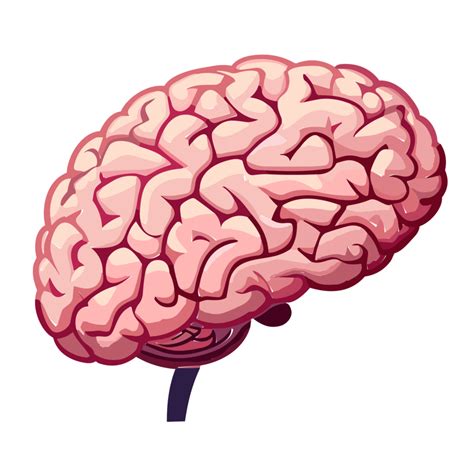 Human brain, Internal organ, anatomy.cartoon flat icon illustration ...