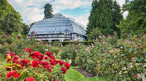 Christchurch Botanic Gardens