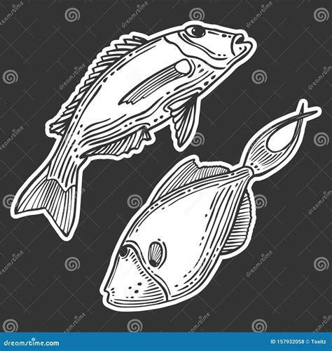 Fisch Vector Konzept Im Doodle Und Skizzenstil Handgezeichnete