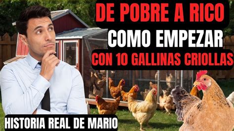 De Pobre A Rico Historia De Mauro Como Empezar Con Gallinas Criollas