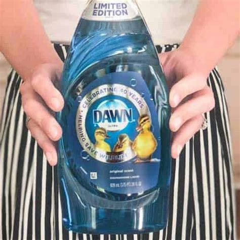 16 Surprising Uses for Dawn Dish Detergent | The Happier Homemaker