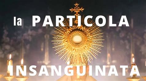 Miracolo Della Sacra Tovaglia Particola Insanguinata Reliquia