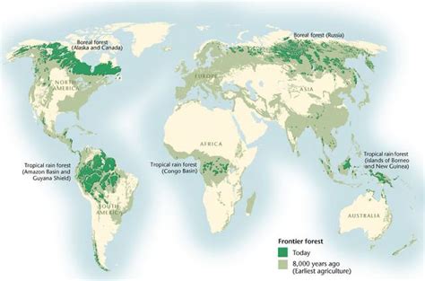 Northern Coniferous Biome/Taiga/Boreal - Terrestrial Biomes and Food Webs