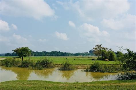 Sludge Management — Future Drone Tech