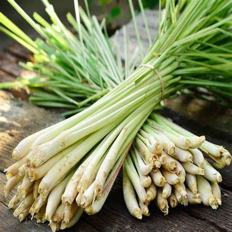 Natural Deodorants - Well Being Journal