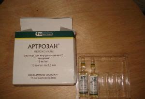 Артрозан: инструкция по применению, отзывы, плюсы и минусы