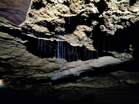 Merapoh Caves Multiple Caving Adventures Wildlife Observation Hide