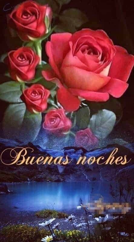 Pin De Teresa Bernal En Saludos Rosas De Buenas Noches Buenas Noches