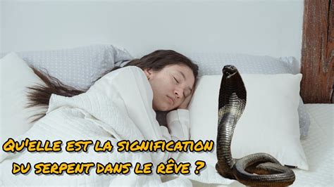 Plongez dans l univers onirique des serpents Décryptage des rêves