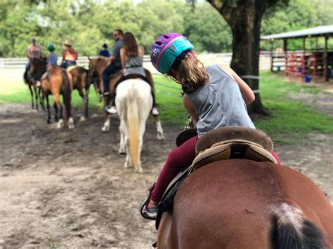 Reserve a horseback ride - Horseback Riding Ocala