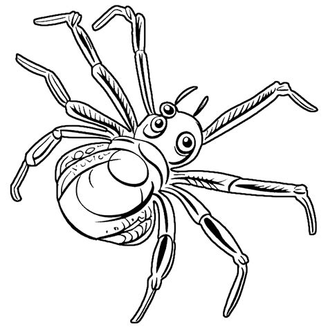 Desenhos De Aranhas Para Colorir Desenhos Para Colorir