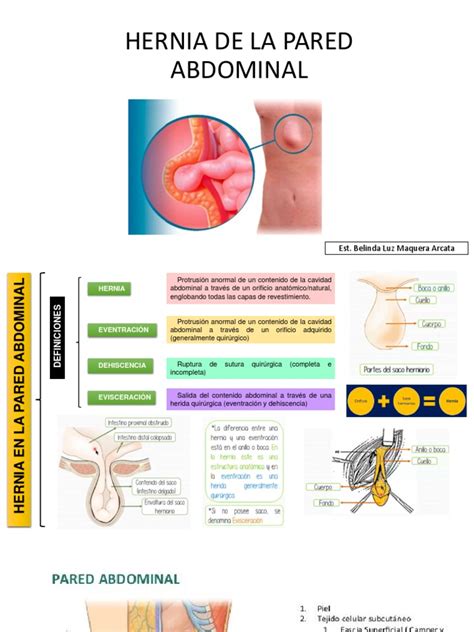 Hernias En La Pared Abdominal Pdf Abdomen Síntoma