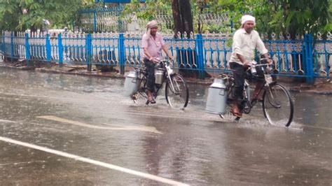 West Bengal Rain Update নিম্নচাপে পরিবর্তিত হচ্ছে ঘূর্ণাবর্ত শনিবার থেকে আবহাওয়ার পরিবর্তন