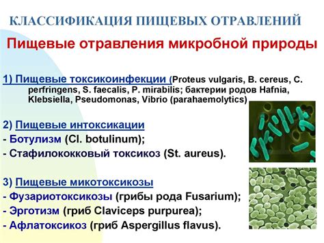 Пищевые отравления и их профилактика - презентация онлайн