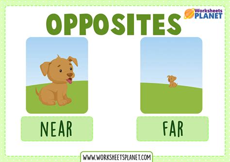 Opposite Words Flash Cards