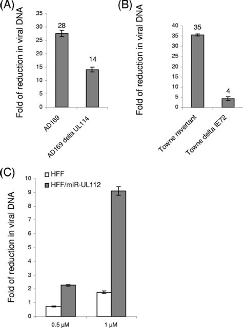 Role Of Mir Ul During Infection A And B Hff Were Transduced With