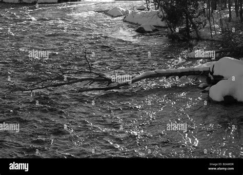 Hochwasser Hochwasser Hochwasser Hochwasser Schwarzweiß Stockfotos Und