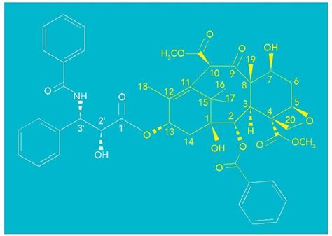 Paclitaxel Descubrimiento propiedades y uso clínico Macroestetica