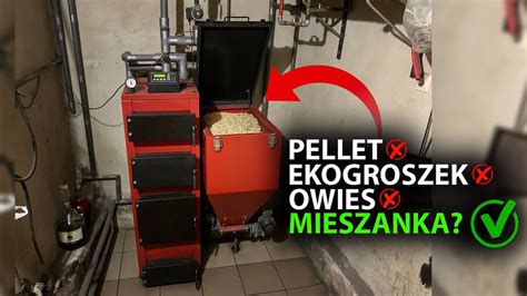 PELLET EKOGROSZEK OWIES CZYM I JAK PALĘ W PIECU Z PODAJNIKIEM