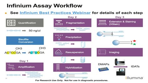 Illumina Infinium Methylation Analysis And Reporting Review YouTube