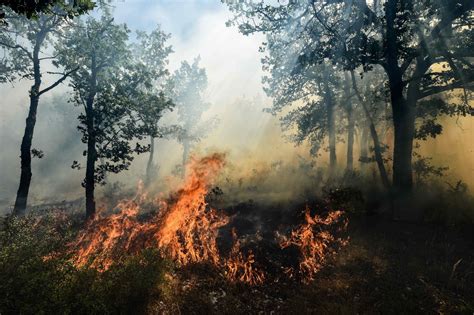 France Incendies Dans Le Sud 7000 Hectares Brûlés 12000 évacuations