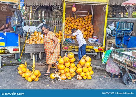 Choose The King Coconut Editorial Stock Photo Image Of King 87647663