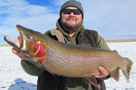 Colorado Ice Fishing Guide