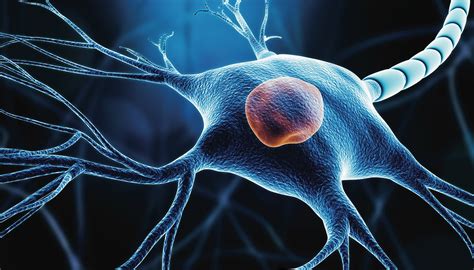 Developing a Cell Therapy for Parkinson’s Disease