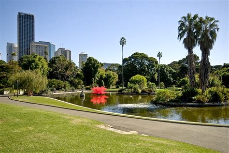 Royal Botanic Garden Sydney And The Domain City Of Sydney