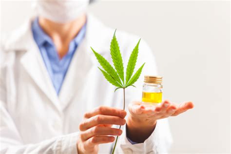 Medical Marijuana For Cancer Patients: Potential Relief And Benefits