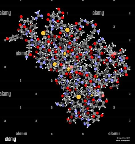 Human Prion Protein Hprp Associated With Neurodegenerative Diseases